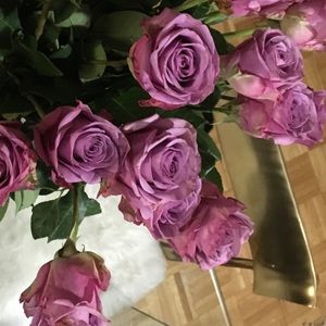 Meet your Posher, Daniele